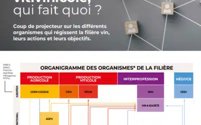 Filière vitivinicole, qui fait quoi ?