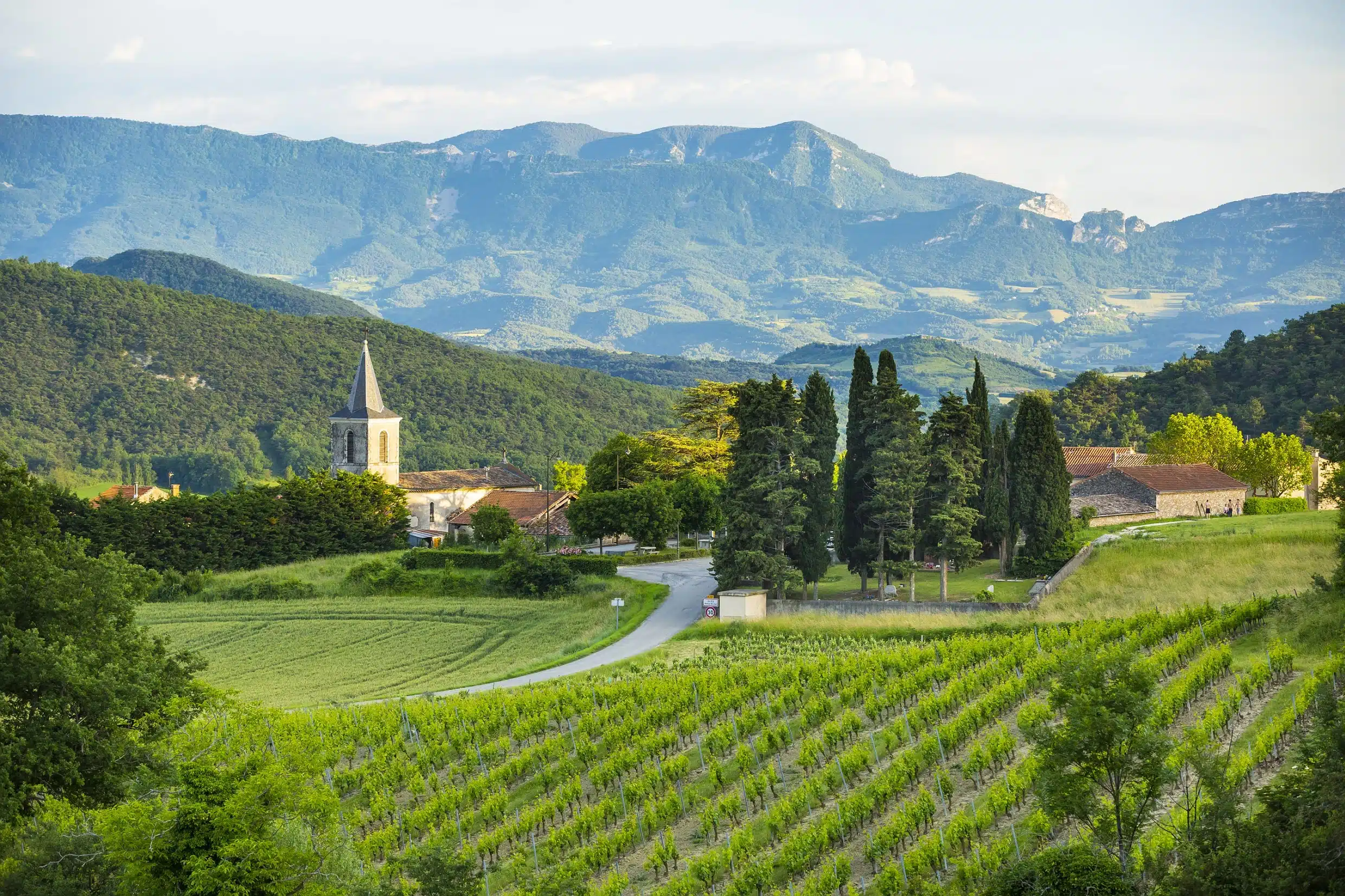 Clairette de Die