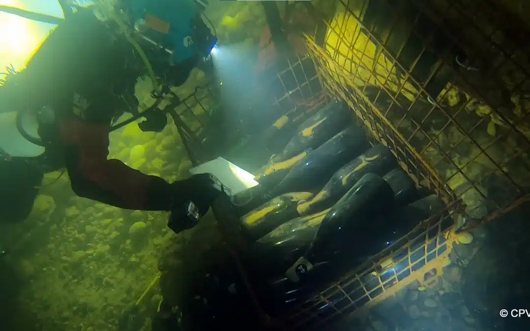 [CDRV Saint-Andéol] Les vignerons de Saint-Andéol ne mettent pas de l’eau dans leurs vins, mais leurs vins dans l’eau pour tester leur vieillissement