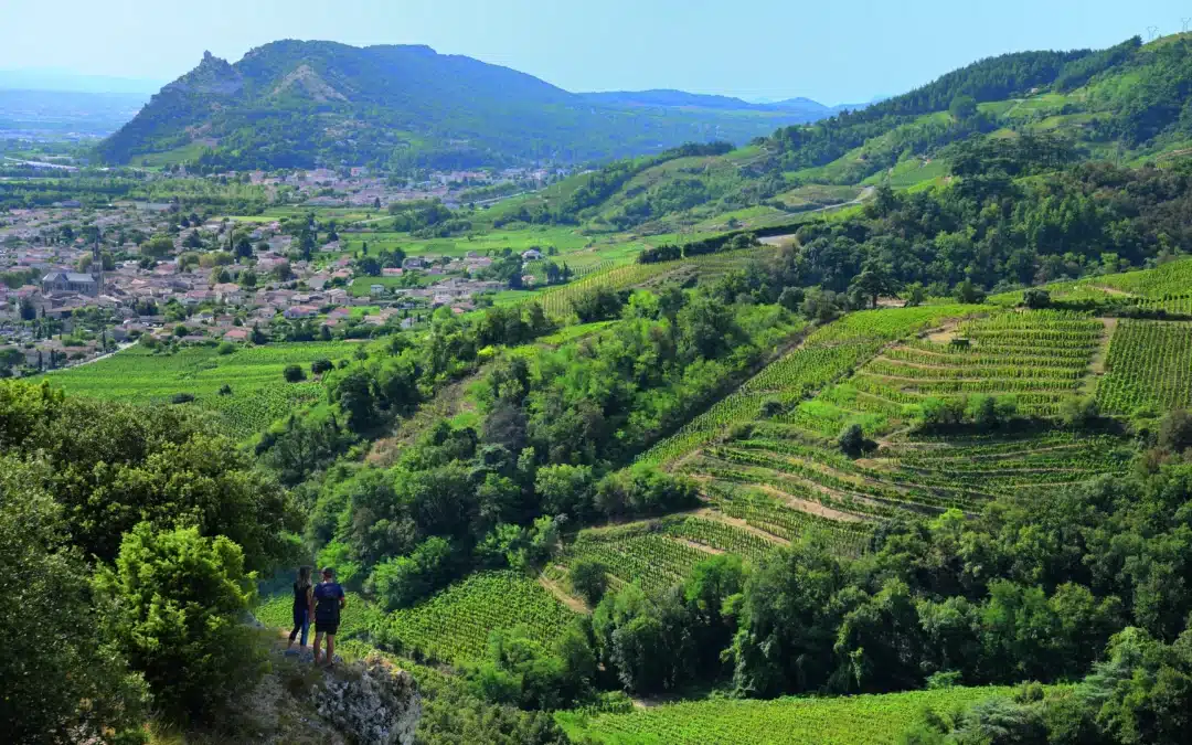  [CRU des CDR] Objectif UNESCO pour les Crus septentrionaux