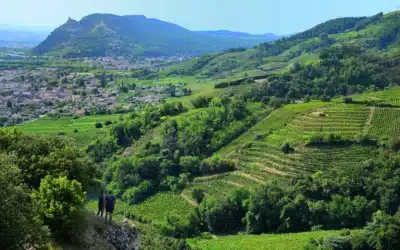  [CRU des CDR] Objectif UNESCO pour les Crus septentrionaux