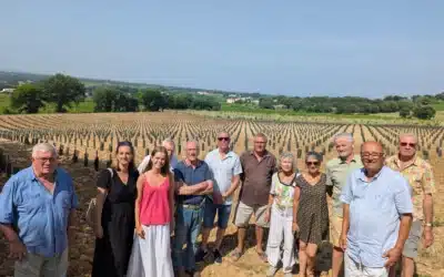  [Châteauneuf du Pape] Une nouvelle parcelle pédagogique en Châteauneuf-du-Pape