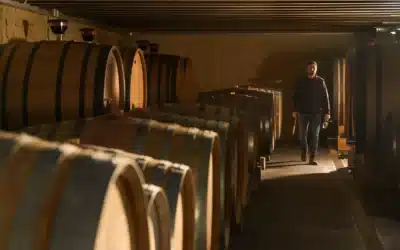 Maitriser les Registres de Cave