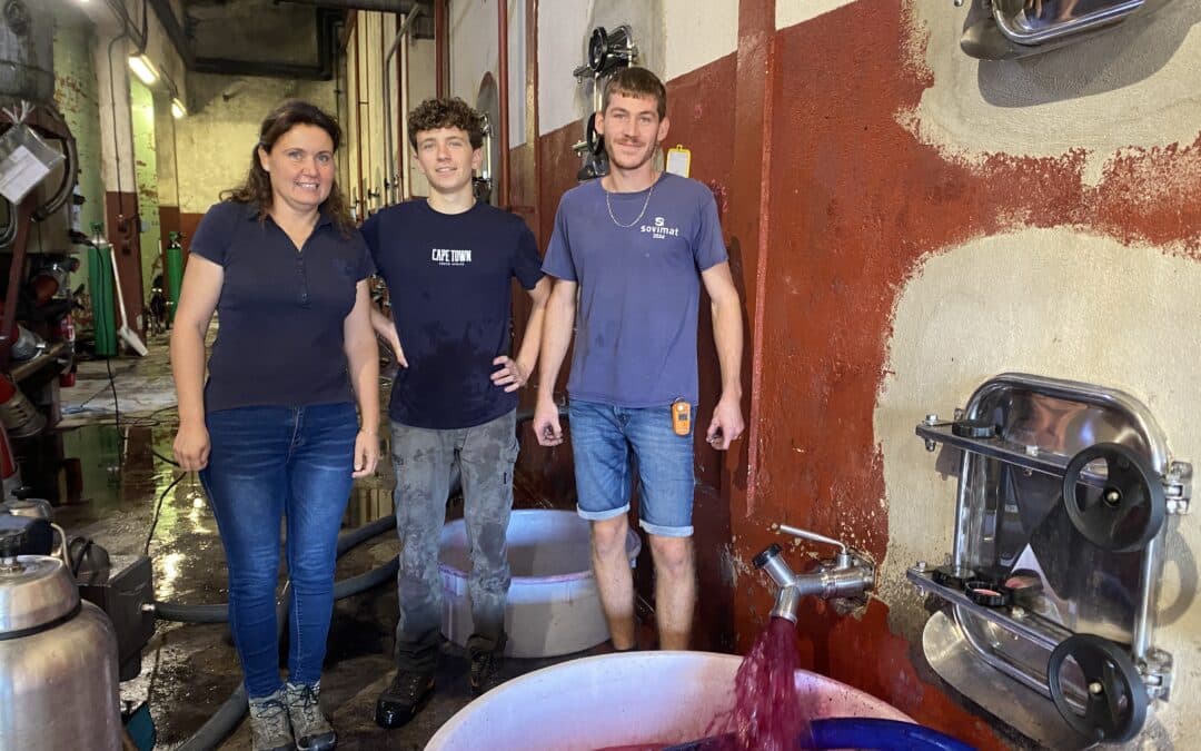 Les vignerons misent sur la jeunesse