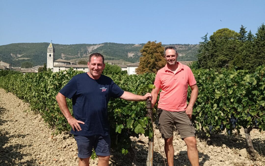 Union des caves d’Alba-la-Romaine et Valvignères