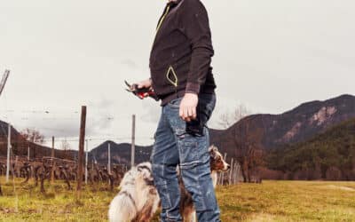 Nouveau président chez Jaillance